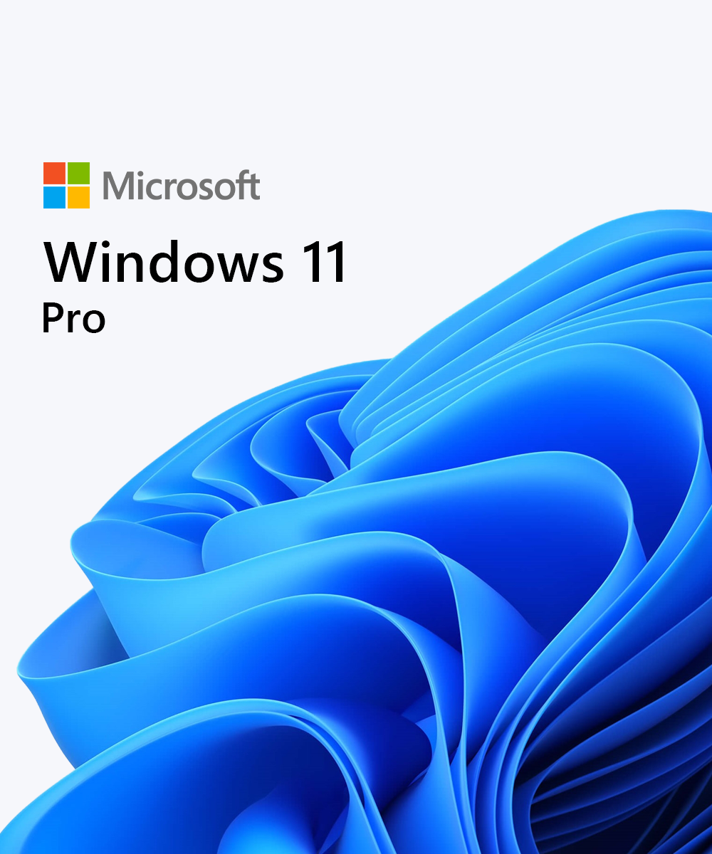 Windows 11 Pro