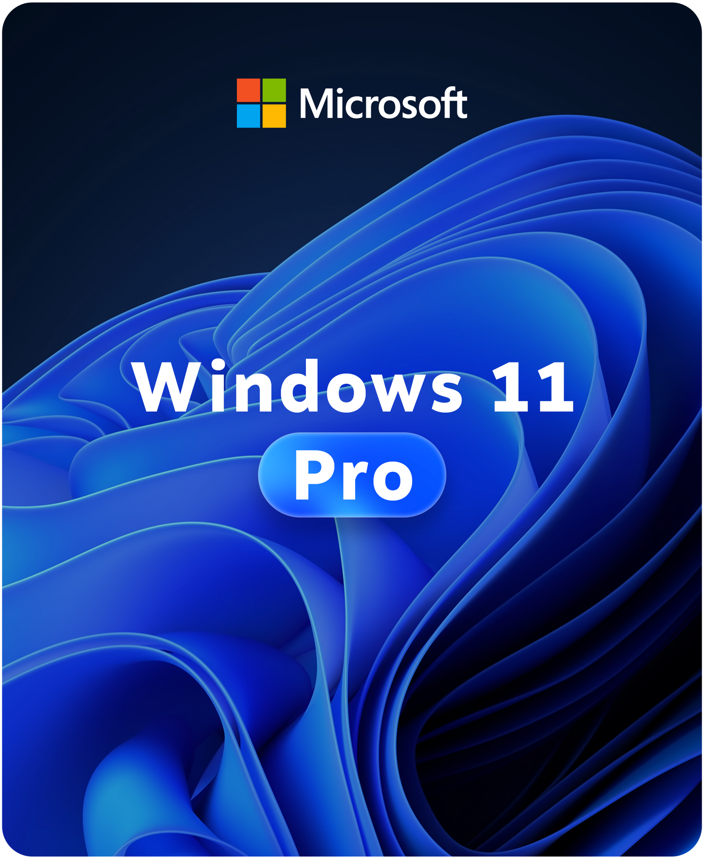 Windows 11 Pro